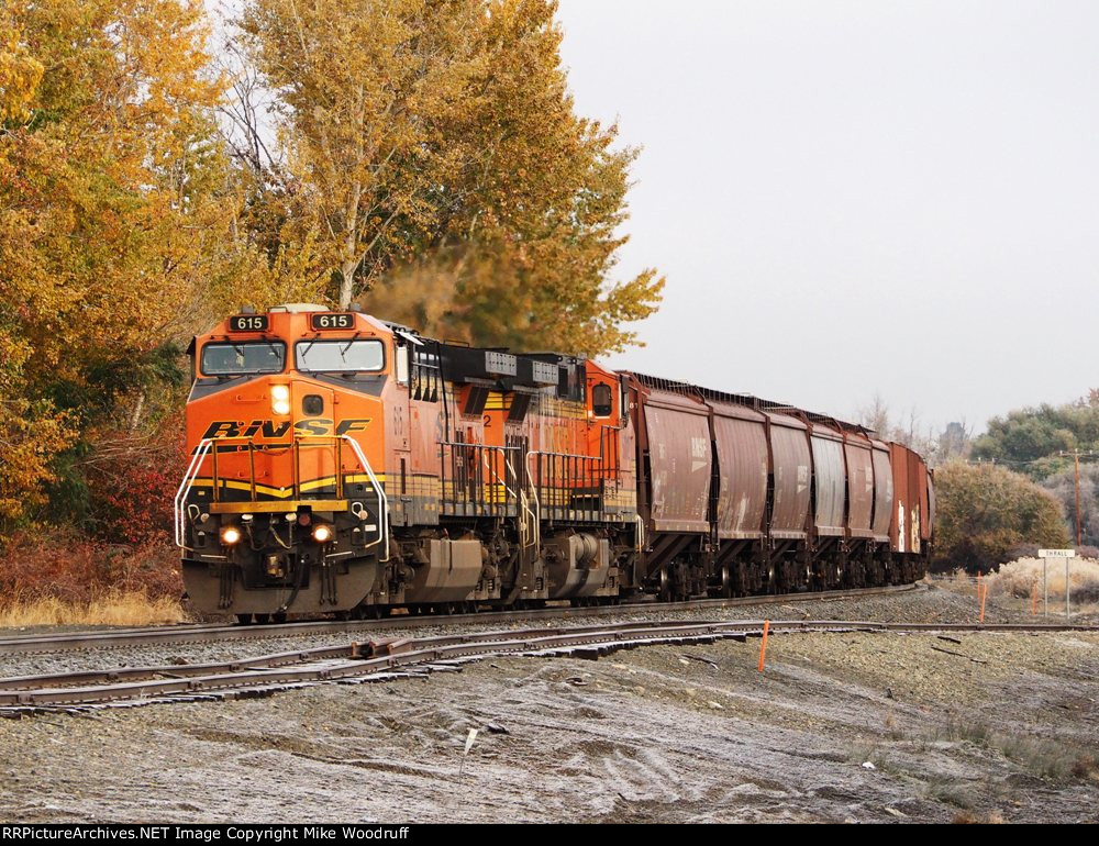 BNSF 615